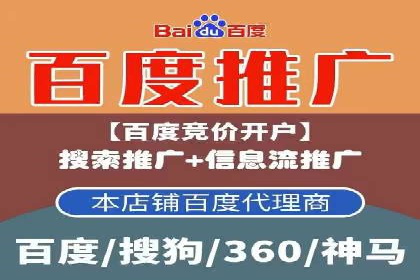 某公司SEO与SEM整合营销的全程记录